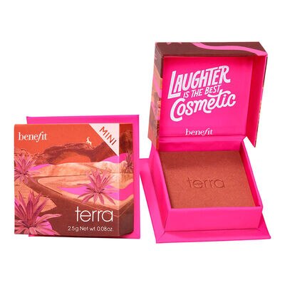 BLUSH TERRA MINI BENEFIT